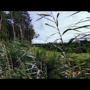 Meet your Posher, Jesse